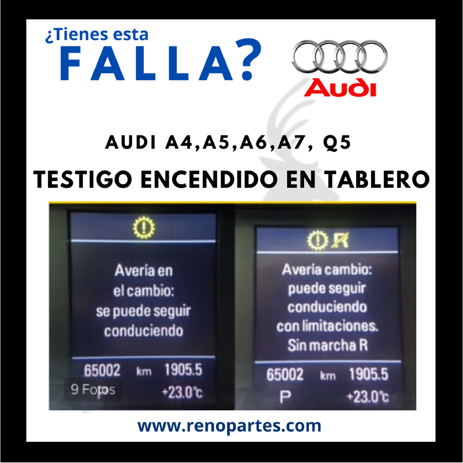 Testigos en Tablero de AUTO - Reno Partes