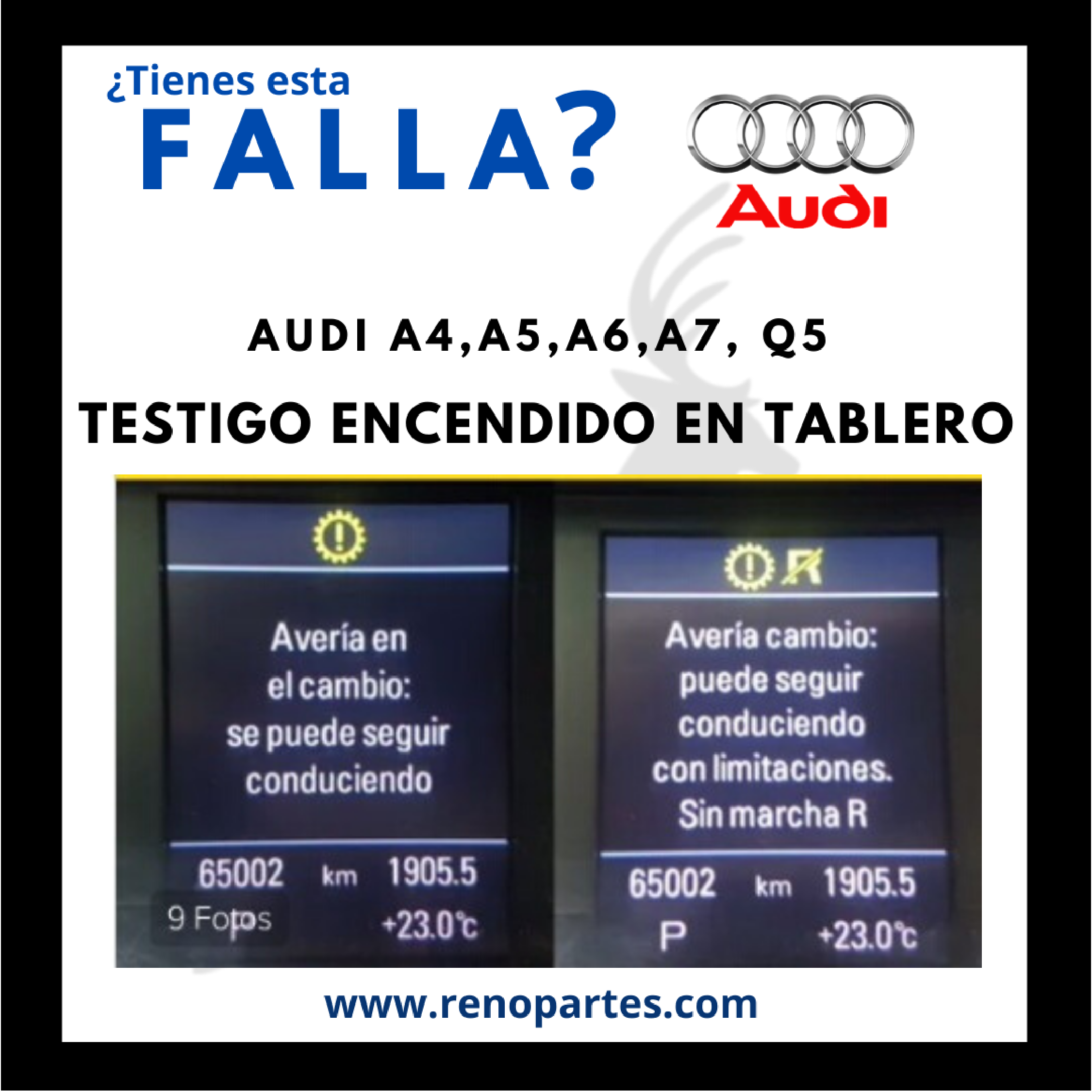 Testigos en Tablero de AUTO - Reno Partes